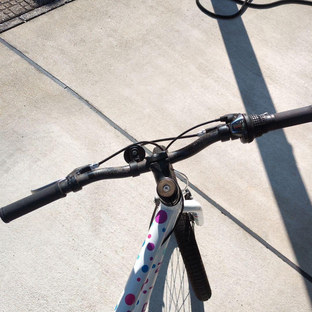 【直接引取り希望】 マーリン20インチ　DONKY JR 20