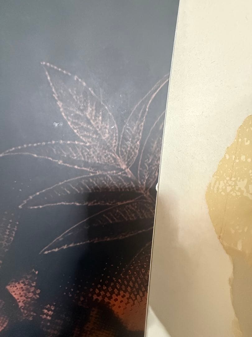 OGASAKA スノーボード　fc-s 158 17-18 値下可