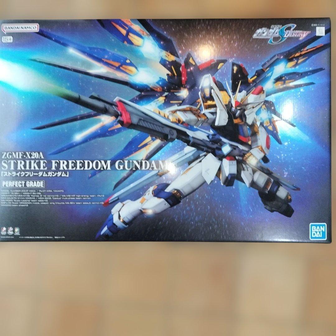 BANDAI SPIRITSPG機動戦士ガンダムストライク 色分け済みプラモデル