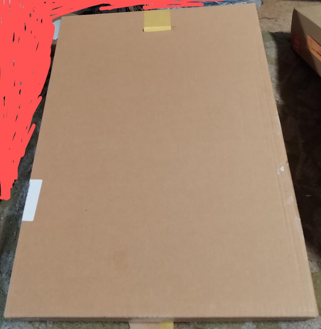 模写　作者不明　速水御舟　金魚　日本画巨匠最終値下げ