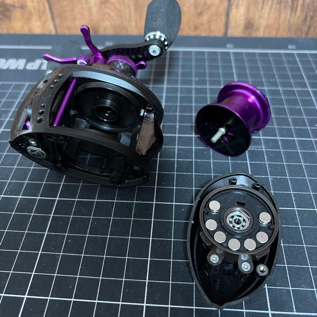 アブガルシアREVOレボ LTX×ZPI パープル　カスタム