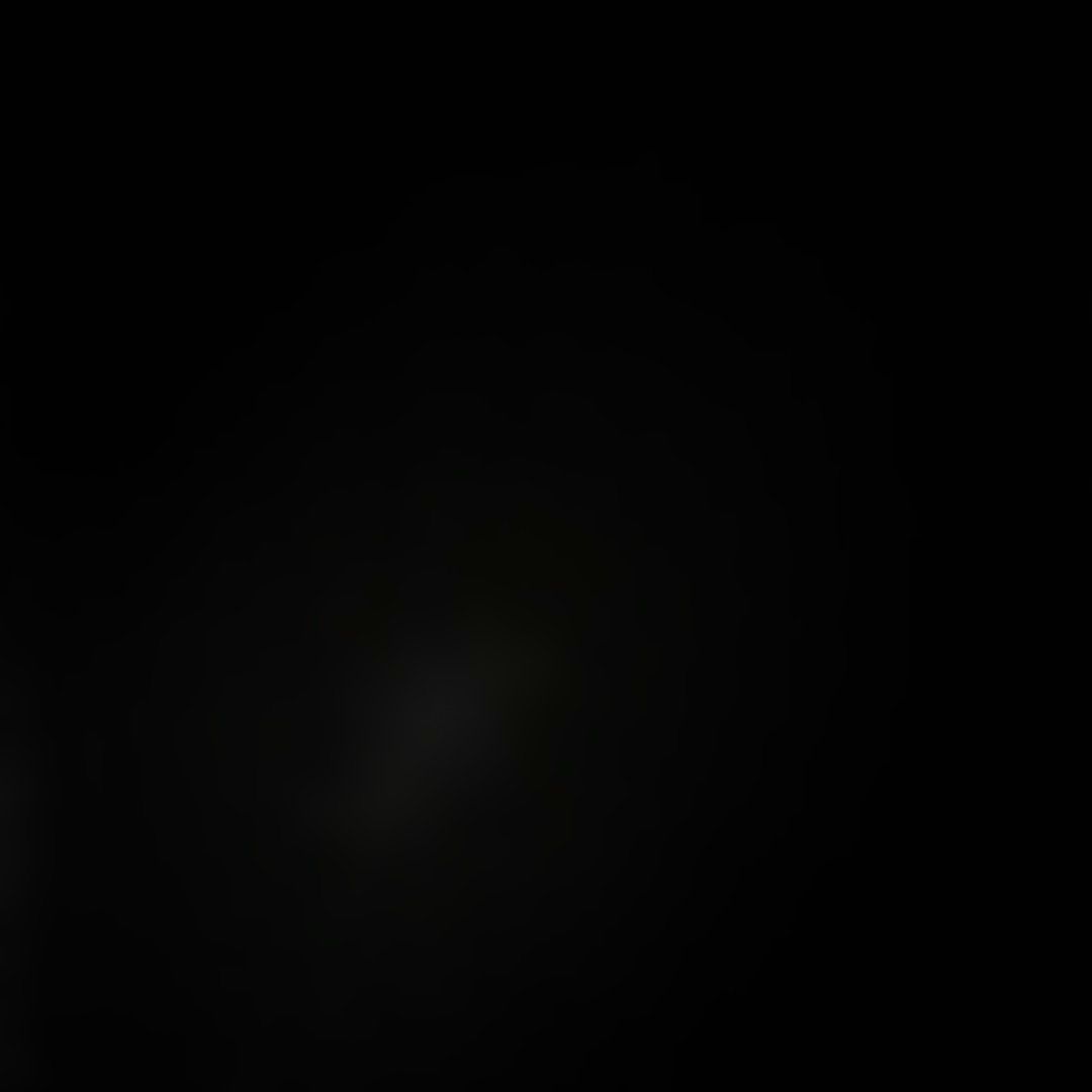 日本体育大学　日体大　サッカー　ハーフジップジャージ　まとめ買い✕