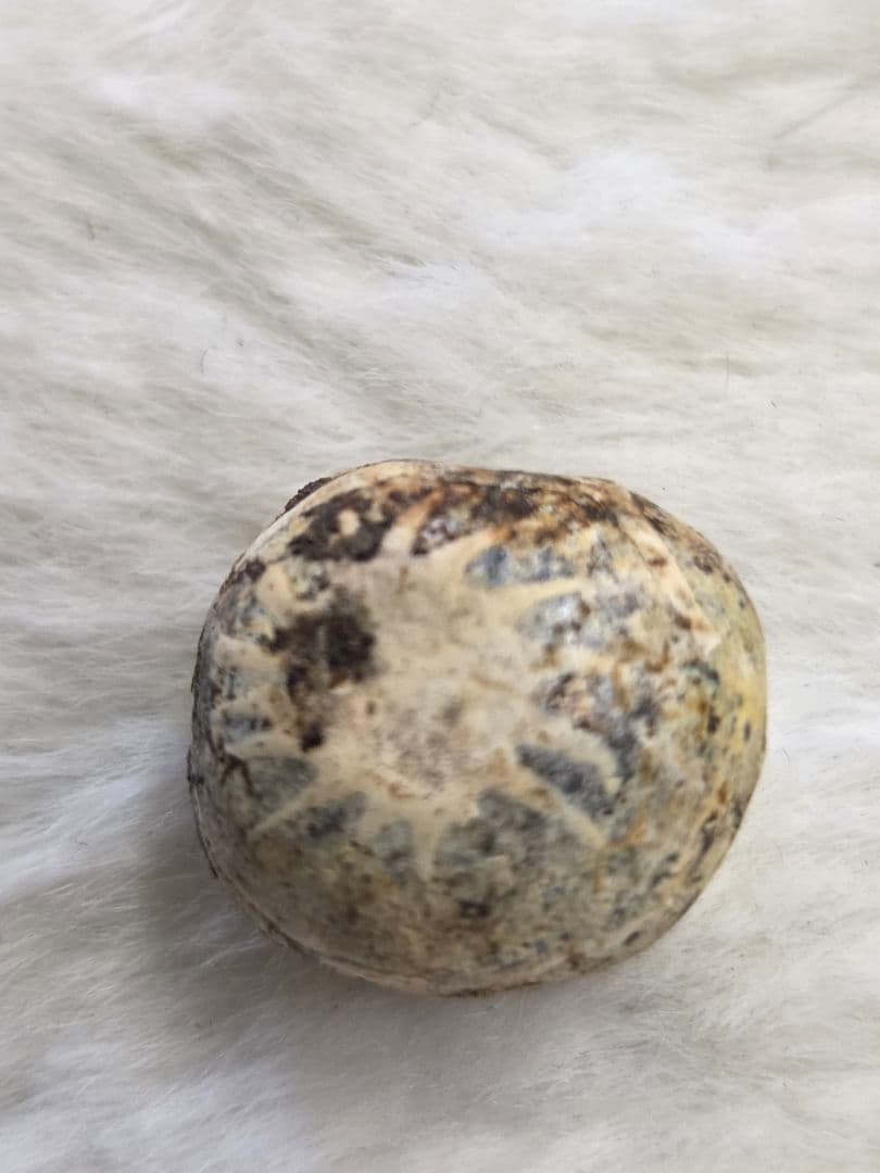 018　蜻蛉玉　古い鳥が消えて　太陽のみ残ったジャワ玉！