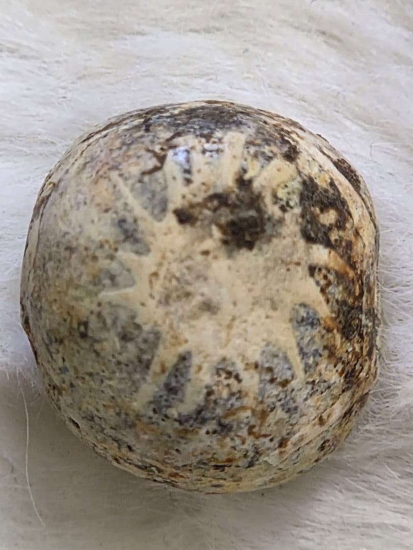 018　蜻蛉玉　古い鳥が消えて　太陽のみ残ったジャワ玉！