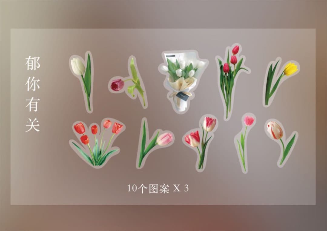 フォロワー様限定84★様々なリアルマテリアル PET ステッカー 8種類セット