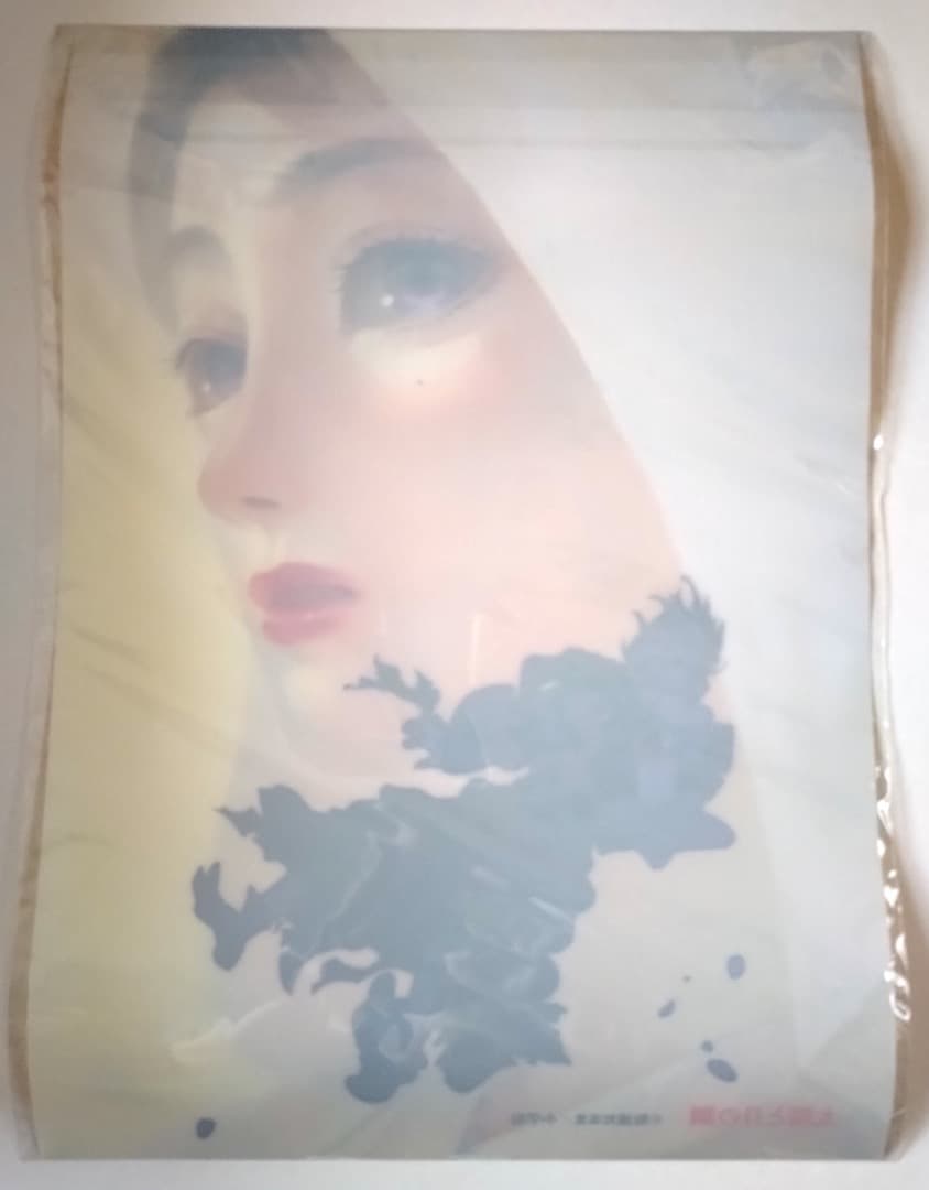 【新品未開封】【非売品】 太陽と月の鋼 A3クリアポスター スペリオール 当選品