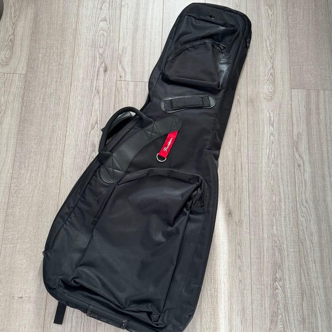 Providence ds-204 RSV LTD シェルピンク ラッカー塗装