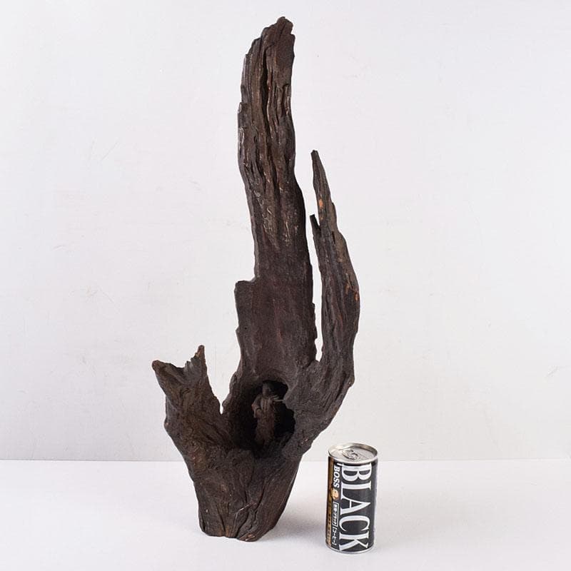 中国　天然木　鑑賞木　木彫り　人物像　D　R8996H