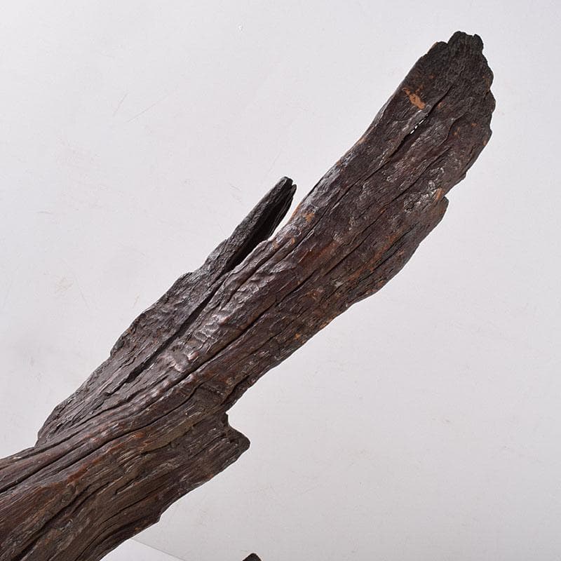 中国　天然木　鑑賞木　木彫り　人物像　D　R8996H