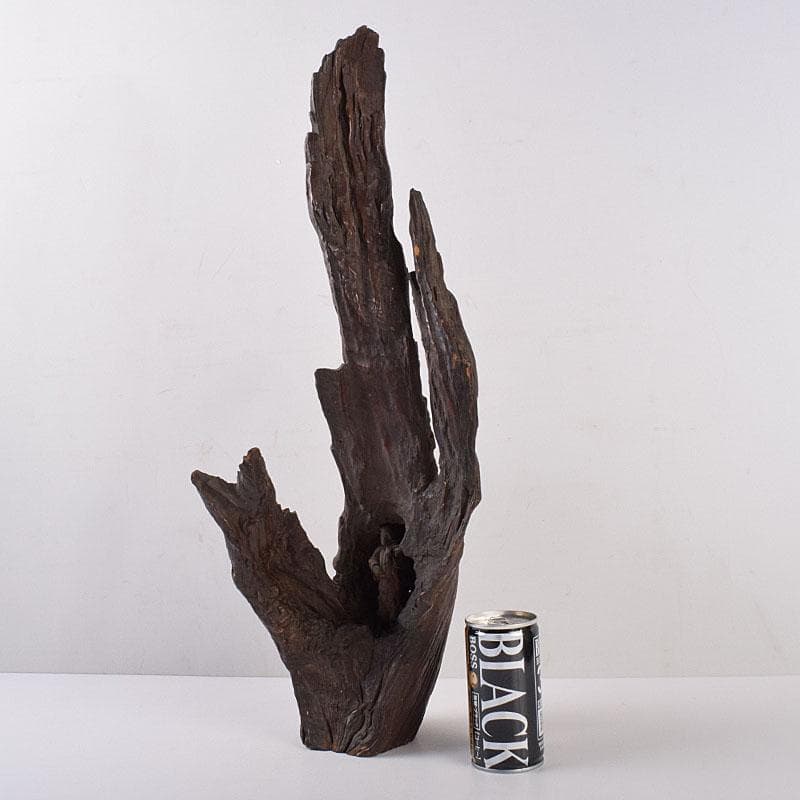 中国　天然木　鑑賞木　木彫り　人物像　D　R8996H