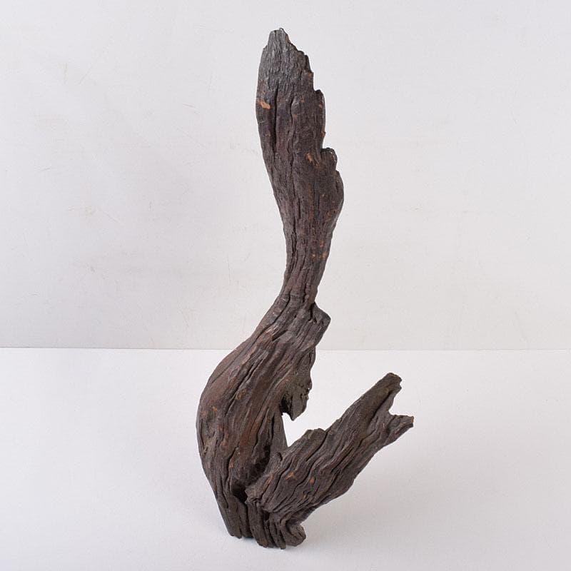 中国　天然木　鑑賞木　木彫り　人物像　D　R8996H