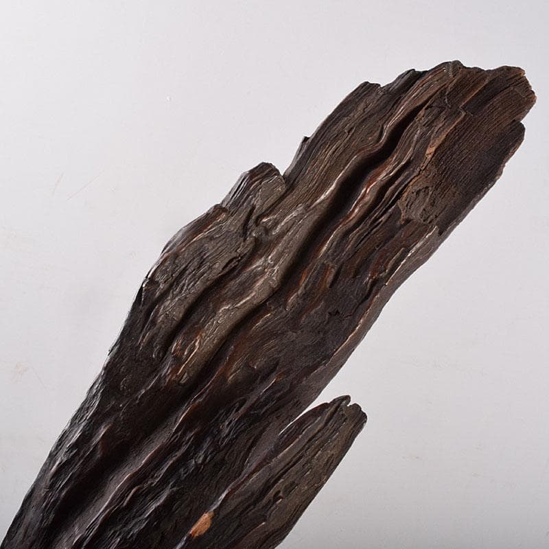 中国　天然木　鑑賞木　木彫り　人物像　D　R8996H