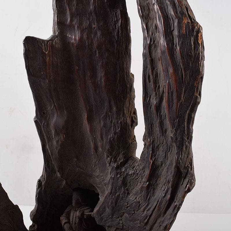 中国　天然木　鑑賞木　木彫り　人物像　D　R8996H