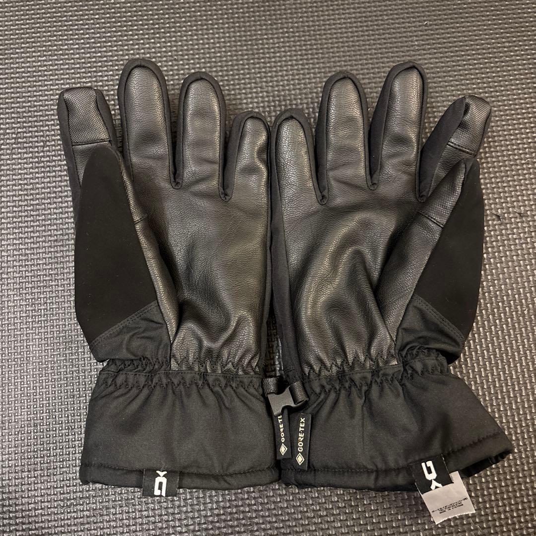 DAKINE GORE-TEX スキーグローブ BE237-730