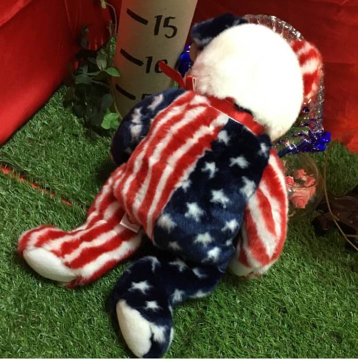 柔らか手触り大きめ【星条旗のクマ】Beanie baby Ty ビーニーズ
