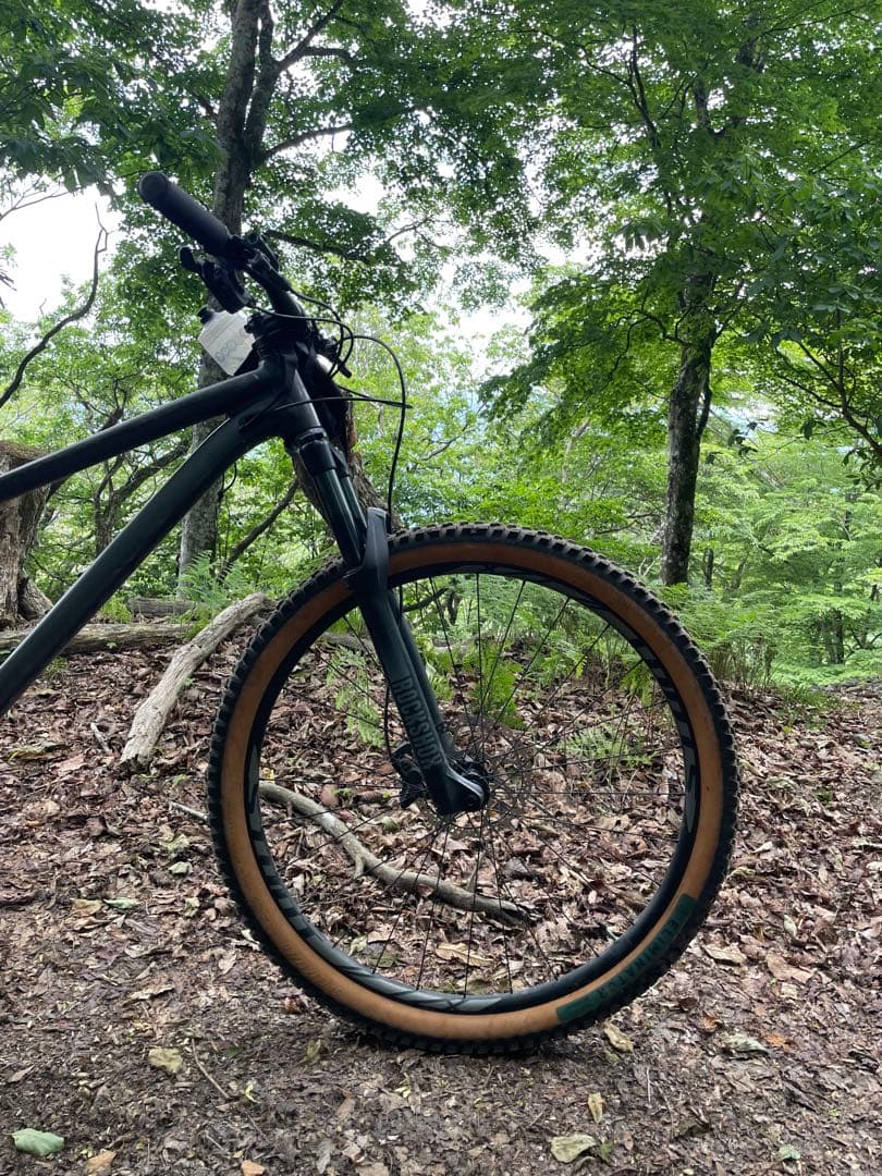 Specialized Fuse Comp 29 マウンテンバイク L