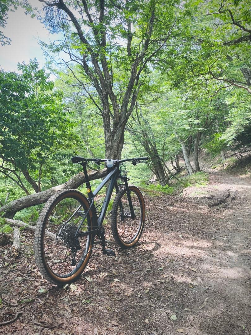 Specialized Fuse Comp 29 マウンテンバイク L