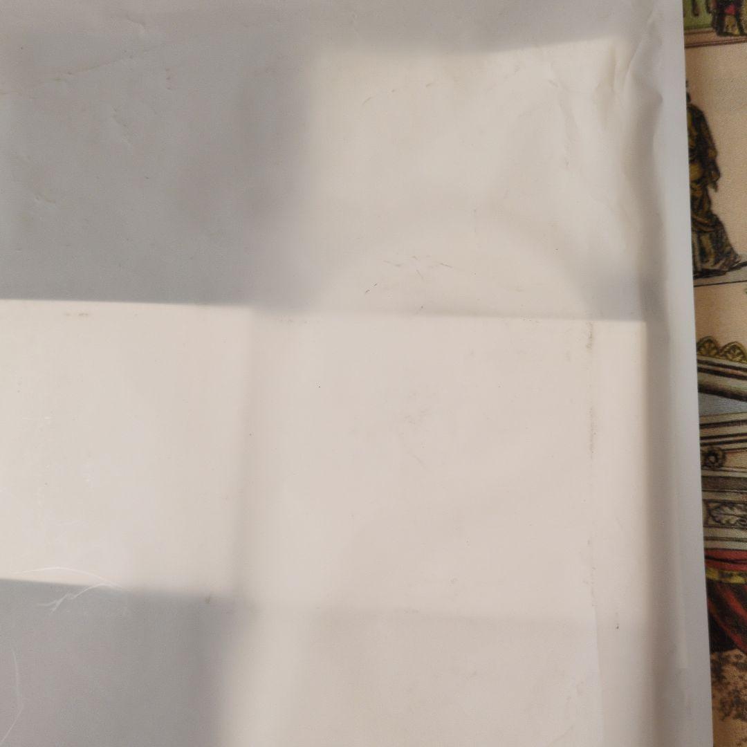 未開封sakanaction×CHICSTOCKS834.194＆nf☆Sサイズ