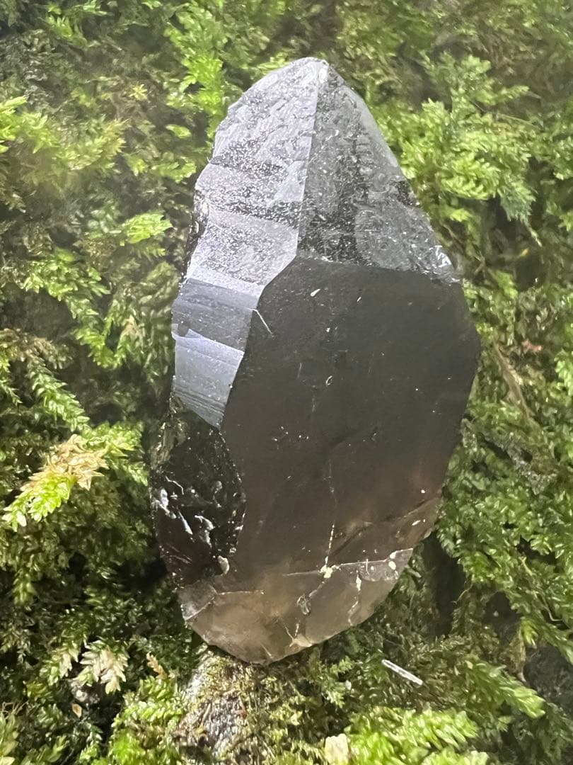 龍脈の精髄 九州産黒水晶 「闇を封じる最強の護り」【保護猫活動支援】