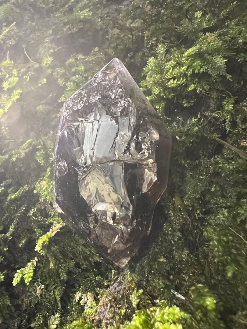 龍脈の精髄 九州産黒水晶 「闇を封じる最強の護り」【保護猫活動支援】