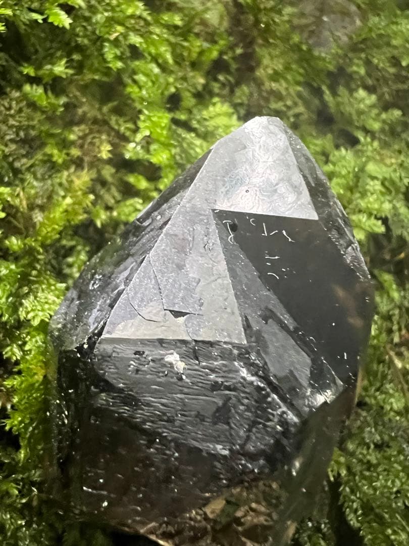 龍脈の精髄 九州産黒水晶 「闇を封じる最強の護り」【保護猫活動支援】