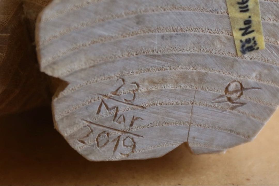 高野夕輝 木彫り熊 彫刻 木彫 オブジェ 作家 2