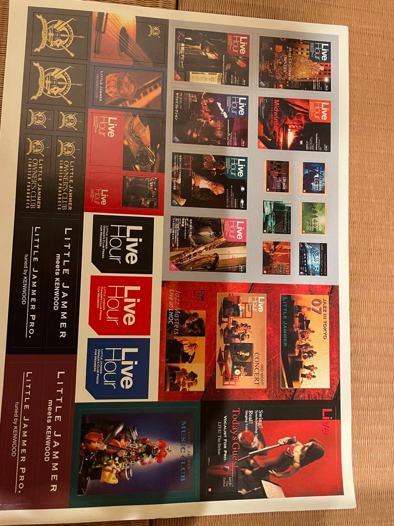 激レア⭐️カートリッジ4本付き！リトルジャマープロ　ボーカリストセット