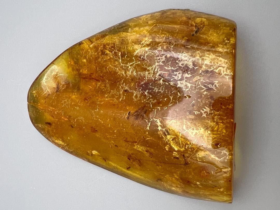 虫入り琥珀　蜘蛛　蚊　多種多様な虫を内包　バルティックアンバー　バルト海沿岸地域