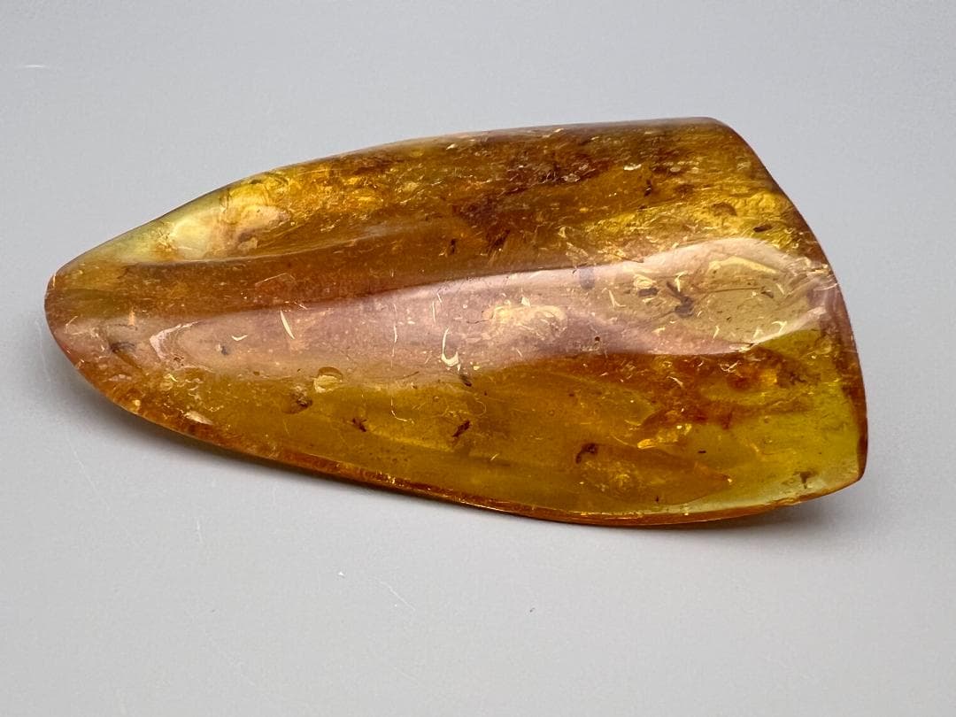 虫入り琥珀　蜘蛛　蚊　多種多様な虫を内包　バルティックアンバー　バルト海沿岸地域