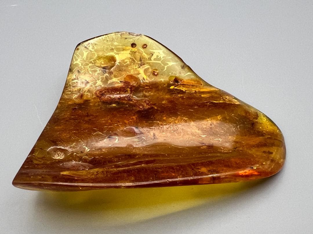 虫入り琥珀　蜘蛛　蚊　多種多様な虫を内包　バルティックアンバー　バルト海沿岸地域