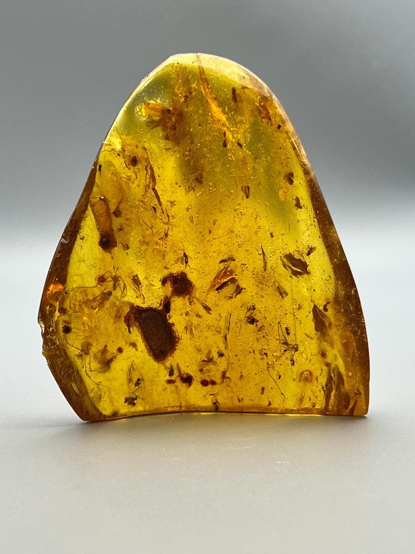 虫入り琥珀　蜘蛛　蚊　多種多様な虫を内包　バルティックアンバー　バルト海沿岸地域