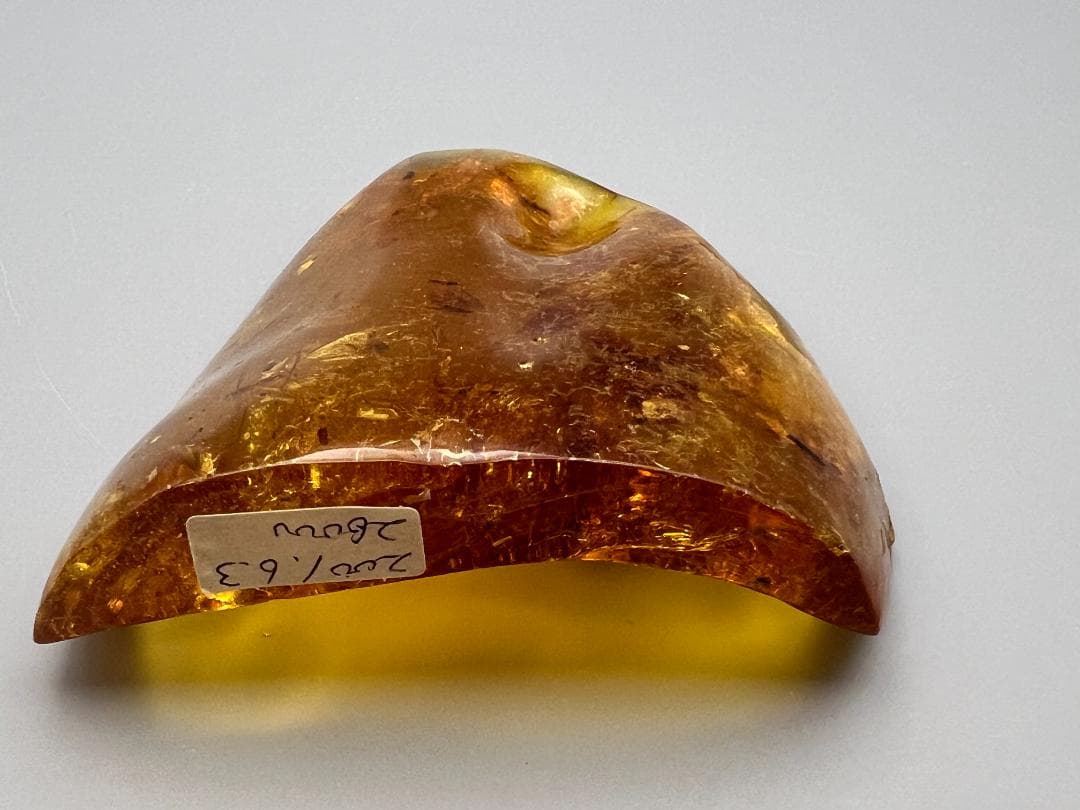 虫入り琥珀　蜘蛛　蚊　多種多様な虫を内包　バルティックアンバー　バルト海沿岸地域