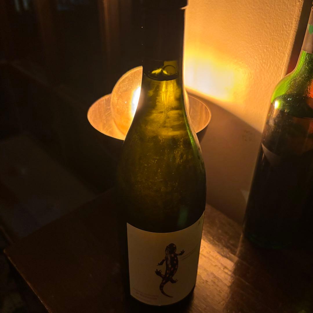 ワイン Salamander Reserve Chardonnay 2021 750ml