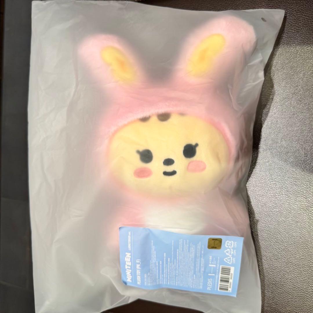 SEVENTEEN MINITEEN ジョンハン プラッシュトイ