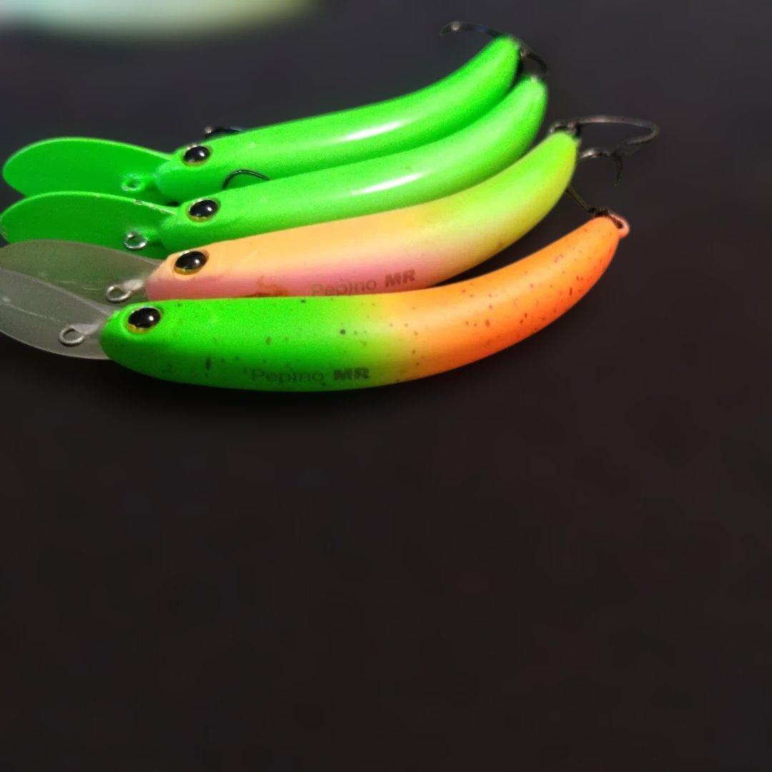 ティモン　ペピーノ　mr dr