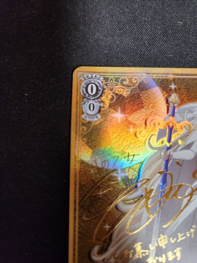 寵愛されし大司教　剣の乙女 sp