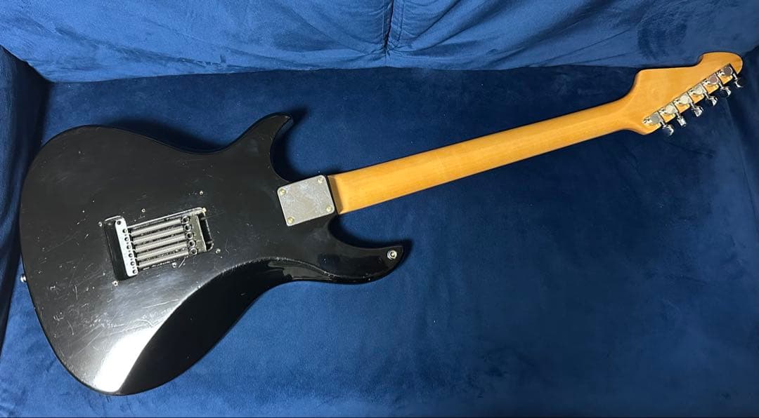 【激レア希少個体】Aquarius BLACK Beauty ＡＱ－550S