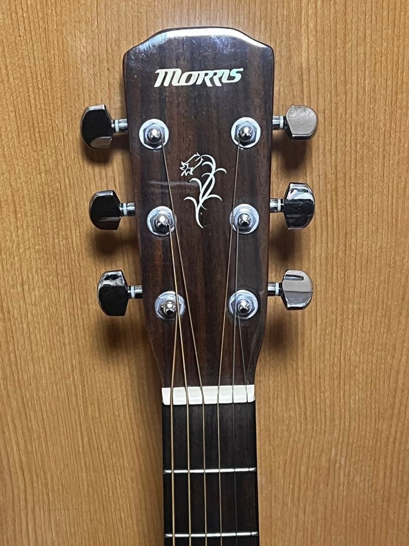 MORRIS F-12 Ⅱ NAT アコースティックギター