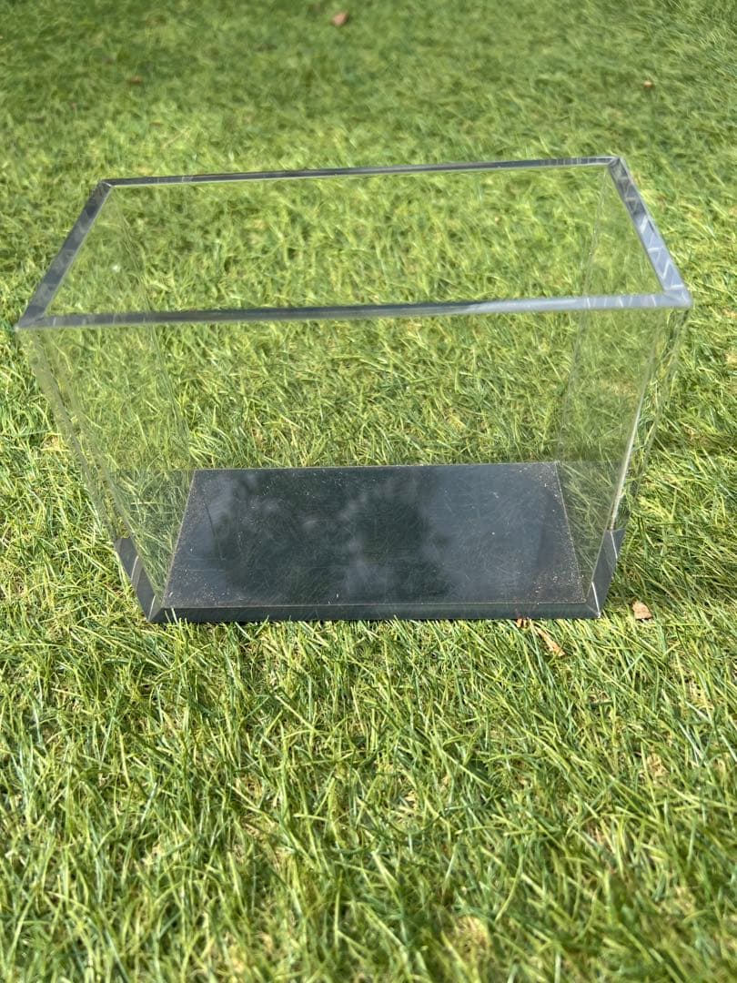 メダカ　飼育セット　わけぷか