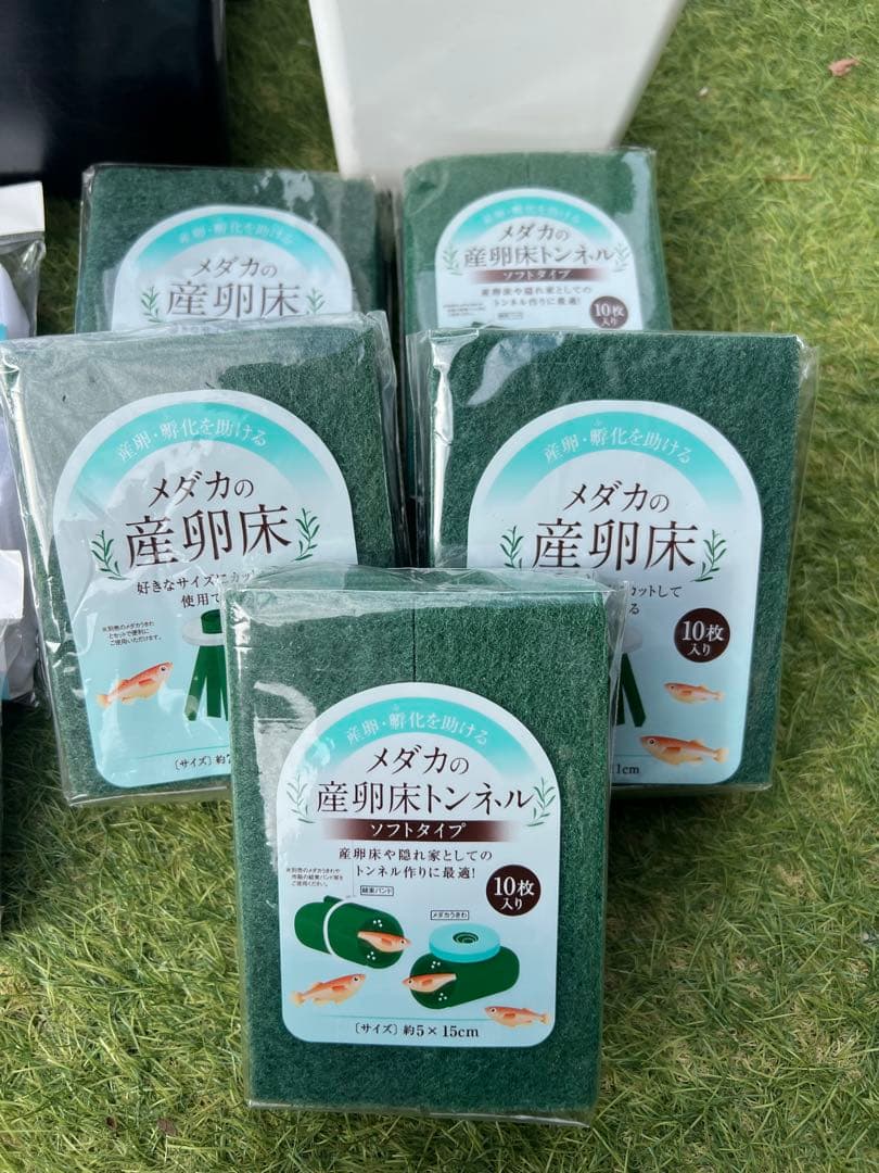 メダカ　飼育セット　わけぷか