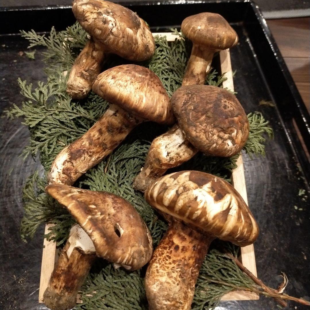 ③信州産 松茸　長野県　クール便　220g