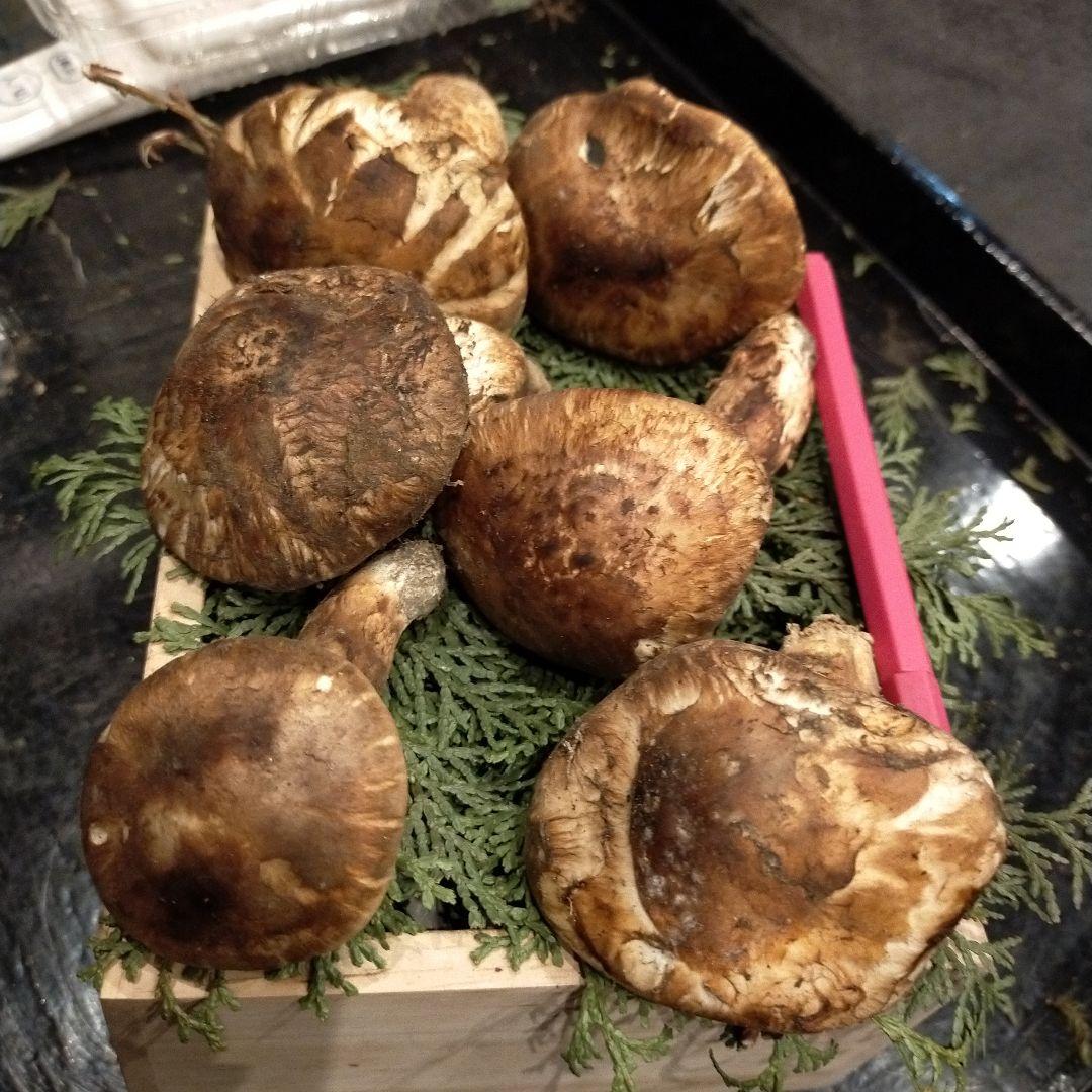 ③信州産 松茸　長野県　クール便　220g