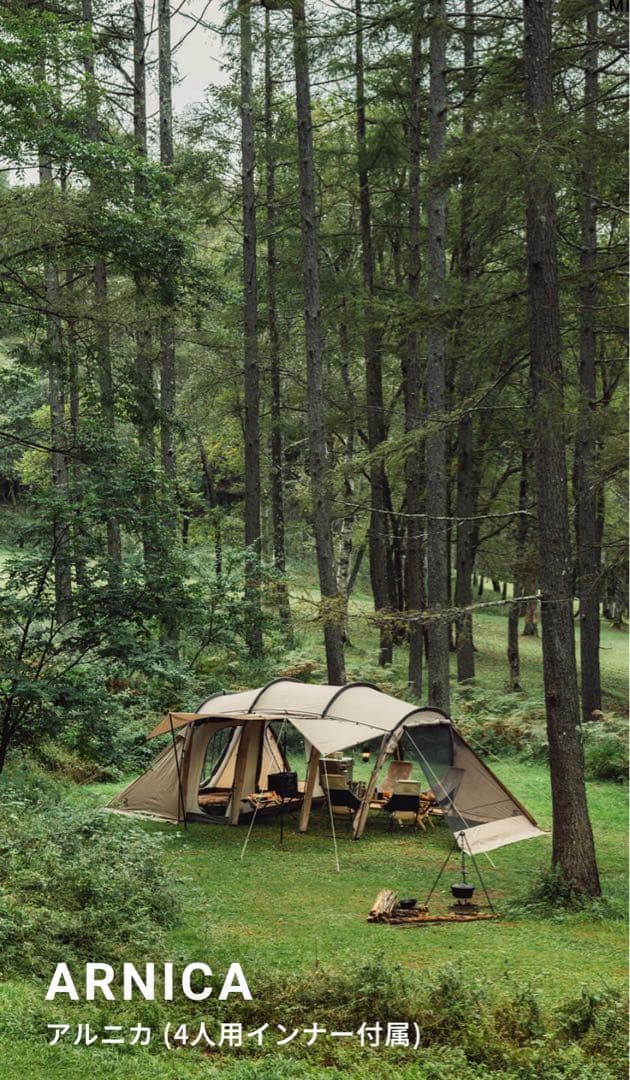 MOMA　サバティカル　アルニカ　美品