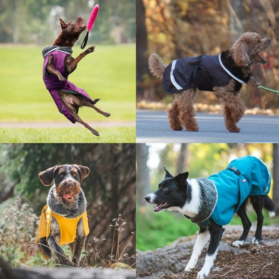 フィンランドデザインのPomppa・ドッグジャケット。