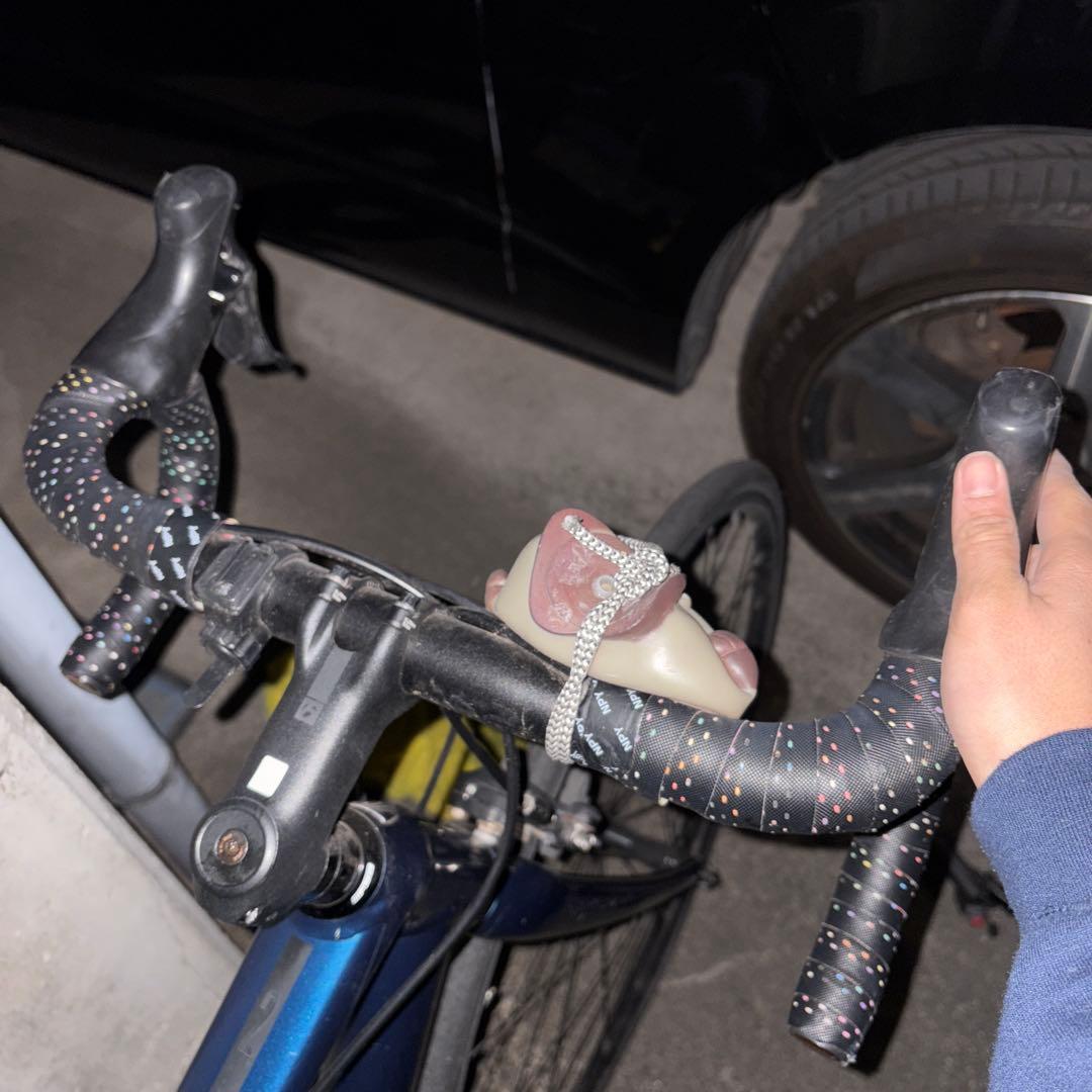 自転車本体 TREK domane al2