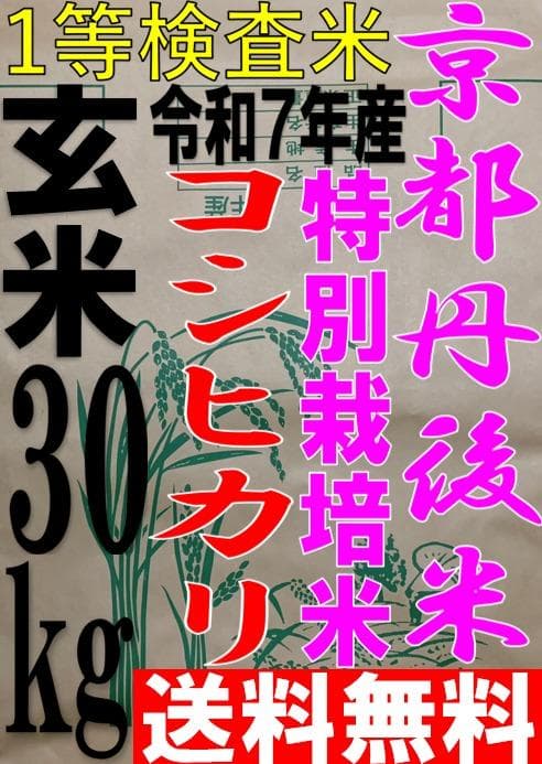 一等検査 特別栽培米 玄米 令和7年産 京都 丹後 コシヒカリ 30kg