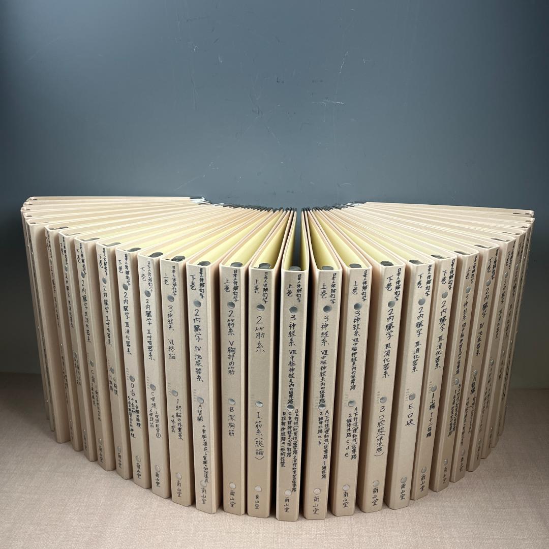 48 中古 33冊セット コクヨ バインダー A4 30穴 大量 まとめ売り