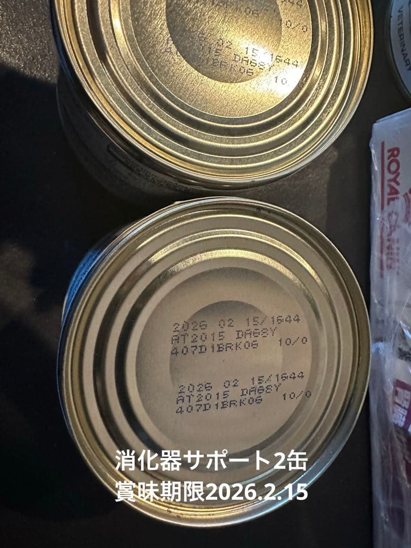 ロイヤルカナン 腎臓サポート　44缶　消化器サポート2缶