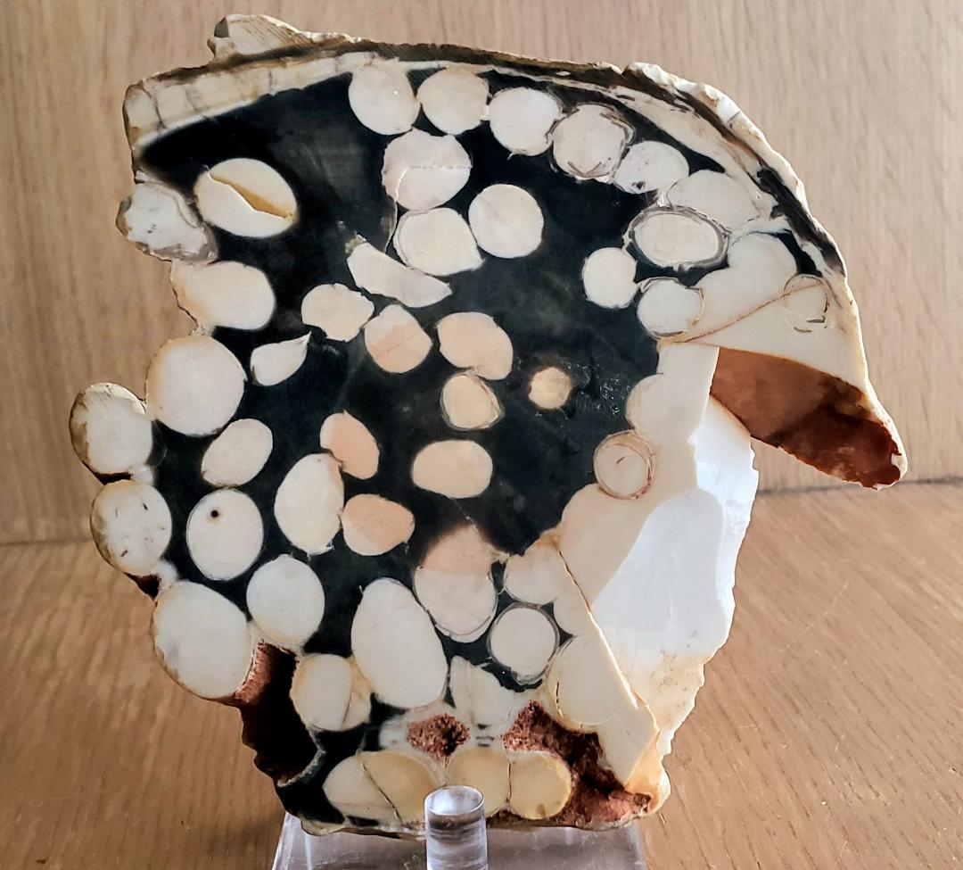 【コレクターズアイテム】ピーナッツ・ウッド