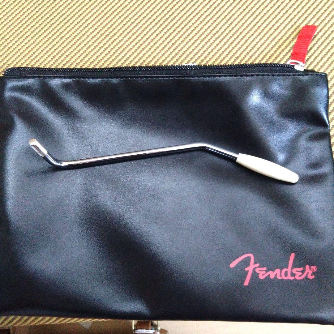 ギター Eric Johnson 1954 Virginia Stratocaster